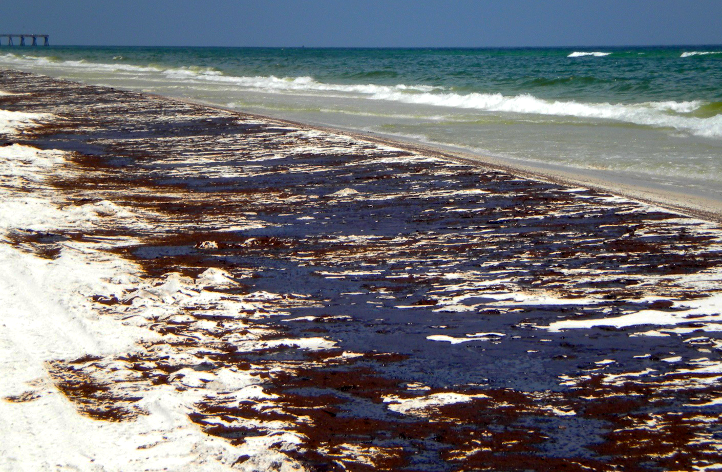 oil in the beach